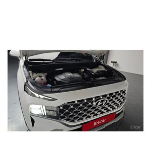 2021/9 for Hyundai Santa Fe Diesel 2.2 2WD 46,402 km Automatic Gear Box Leather Seats Left Steering - Product Image 5