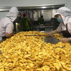 Chips de Jackfruit Séchées Bio les Plus Vendues, Écologiques, en Vrac, Croustillantes, Sucrées, Snack de Fruits, Fabricant OEM Vietnam - Product Image 6