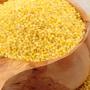 Millet jaune cultivé en Autriche pour l'alimentation des oiseaux, qualité alimentaire pour oiseaux, pureté minimale 98%, humidité maximale 14%, complété par des variétés blanches et vertes - Product Image 1