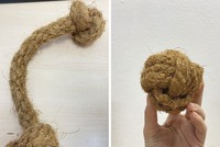 JOUET POUR PET CHEW | JOUET DE NETTOYAGE DENTAIRE NATUREL POUR CHIENS ET CHATS, PRODUIT DE SOIN SAIN POUR ANIMAUX DE COMPAGNIE DU VIETNAM | MS. LILY NGO
