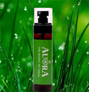 Aromatizante de Ambiente Vetivert de 100 ml, Spray Líquido con Base de Aceites Esenciales Naturales, Larga Duración, Decoración Minimalista para el Hogar, Etiqueta Personalizada - Product Image 1