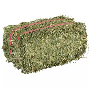 Heno de Alfalfa, Heno de Pasto Alto en Fibra para Animales Pequeños, Empaque de 20 kg, Proveedor Mayorista, Envío Global - Product Image 1