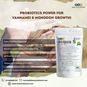Suplemento probiótico para estanque de camarones que mejora la carga bacteriana beneficiosa para mejorar la salud de la acuicultura - Product Image 4