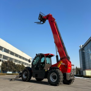 מלגזה טלסקופית בעלת כושר הרמה של 4 טון, גובה הרמה של 17.6 מטר, מנגנון הליכה מסוג סרטן, תפעול גמיש. - Product Image 3