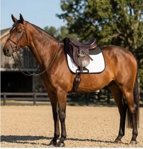 Tapis de selle tout usage en coton 100% écologique de haute qualité pour l'équitation et l'équipement équestre - Product Image 6