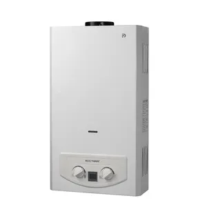 Top Selling in Russia Market 4L 6L 8L 10L 12L 16L 20L Flue Type Gas Water Heater LPG NG Bathing Hot Water Heater