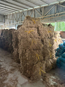 Fibre de coco naturelle de qualité supérieure, matière première issue de la coque de noix de coco pour supports de culture horticole et usage commercial - Product Image 6
