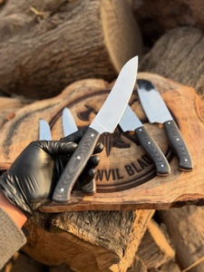 Ensemble de couteaux de cuisine professionnels en acier Damas 67 couches, cinq pièces, couteaux de chef, couteau utilitaire, hachoir, manches ergonomiques en bois Pakka - Product Image 4