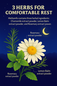 Aide au sommeil à base de mélatonine végétalienne avec thé vert, L-théanine, acide aminé, tryptophane, cerise acide et extraits botaniques - Product Image 4