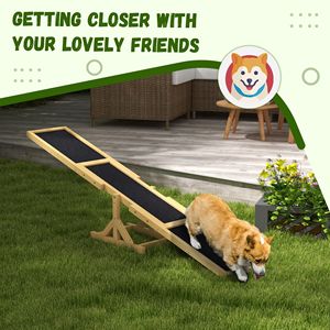 Rampa de Agilidad para Perros y Balancín para Mascotas, Equipo de Entrenamiento de Obstáculos para Ejercicio Canino - Product Image 2