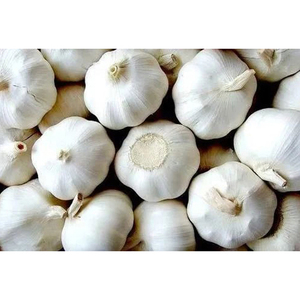 Ajo pelado fresco de la mejor calidad al por mayor en venta a precio económico - Product Image 4
