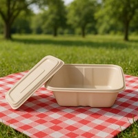 Meistverkaufte Große 1000ml Bagasse-Mahlzeitbox Perfekt für Biryani Reisschalen & Komplette Mahlzeiten für Currys Sichere Verpackung
