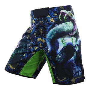 Pantalones Cortos de Lucha de Alta Calidad, Pantalones Cortos de Boxeo MMA, Crea Tu Propio Diseño, Prendas Personalizadas, Pantalones Cortos de Artes Marciales Mixtas - Product Image 1