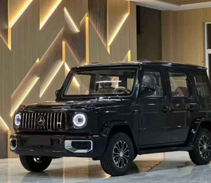 Véhicule à énergie nouvelle économique, prix direct usine, avec forte capacité de charge et sièges de luxe pour adultes - Product Image 4