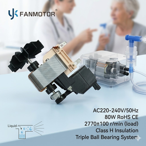 Moteur de compresseur de nébuliseur à piston asynchrone monophasé à pôles ombragés entièrement fermé - Product Image 3