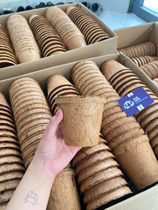 Pot de fleurs en fibre de coco biodégradable, minimaliste et rustique, avec trou de drainage pour plantes de jardin et d'intérieur, design écologique - Product Image 6