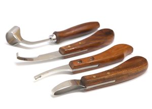 Cuchillo para pezuñas con doble filo y sensor, hoja curva, cortador veterinario para el cuidado de pezuñas, mango de madera, herramienta agrícola para caja de cebo de jardín - Product Image 3