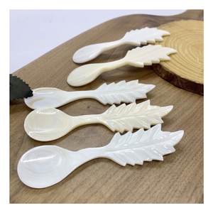 Cuchara de Concha Marina Natural Hecha a Mano, Ligera, Desechable, Duradera y Ecológica para Servicio de Alimentos y Eventos - Product Image 4