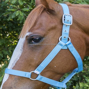 Licou classique en nylon double pli fait à la main en 3 couleurs vives et double raccord réglable en acier inoxydable - Product Image 2