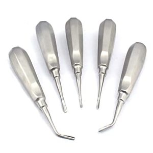 Ensemble d'élévateurs dentaires professionnels en acier inoxydable, instruments d'extraction dentaire pour chirurgie buccale, fournisseur et exportateur en gros - Product Image 2