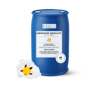 Absolue de Labdanum Premium, Extrait Aromatique Naturel Pur, Haute Qualité, Approvisionnement en Gros, Fabricant et Fournisseur de Confiance en Inde pour le Monde Entier - Product Image 3