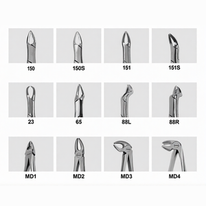 Ensemble de 12 pinces d'extraction dentaire, instruments d'extraction dentaire en acier inoxydable, kit de pinces de chirurgie dentaire professionnel - Product Image 2