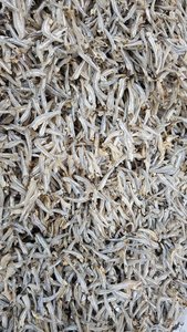 ปลาแอนโชวี่แห้งสำหรับผลิตน้ำปลา วัตถุดิบ - Product Image 6