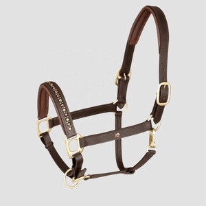 Haute qualité anatomique rembourré en cuir cheval licou muserolle surélevé rembourré tête pièces boucle en laiton taille personnalisée compétitif - Product Image 3