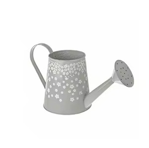 Arrosoir en métal de style contemporain, outil d'arrosage en acier inoxydable - Product Image 6