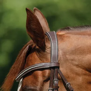 Italian Leather Horse Bridle <b>Equestrian</b> Horse Riding Genuine Leather Horse Bridle - Product Image 3