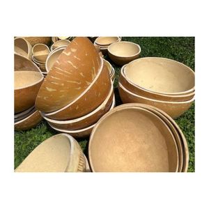 Prêt à expédier : Bol en gourde sûr et écologique, plat de service pour fruits, article de présentation traditionnel pour fêtes, qualité supérieure, pour l'exportation - Product Image 5