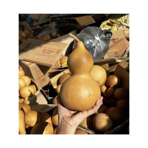 EN STOCK Gourde en calebasse séchée pure, bouteille sécurisée pour boisson, accessoire unique pour spectacle, qualité supérieure, approvisionnement export - Product Image 6