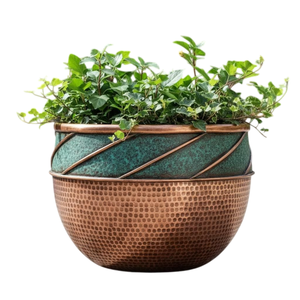 Maceta de Metal Rústica con Planta Verde, Macetero Interior Hecho a Mano con Acabado de Cobre, Diseño con Patrón Circular - Product Image 1
