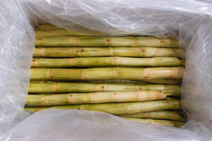 Proveedor de Caña de Azúcar Congelada de Primera Calidad al por Mayor, Top Ventas, Exportación a Granel, Oferta Especial, Jugo Natural de Caña Envasado al Vacío - Product Image 3