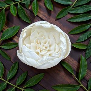 ดอกไม้ไม้โซล่าสีขาวรูปดอกคามีเลียทำมือแบบยั่งยืน ขนาด 8.5 ซม. พร้อมก้านไฟเบอร์จากพืชเซสบานียา จากประเทศไทย - Product Image 1