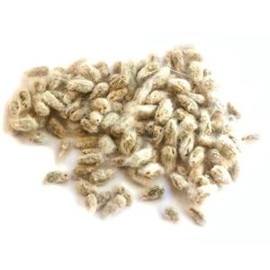 Graines de coton naturelles en vrac, à haute teneur en huile, nettoyées et séchées, pour les usines d'aliments pour animaux, l'extraction d'huile et l'utilisation industrielle - Product Image 3