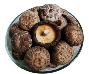 เห็ดชิตาเกะแห้งคุณภาพสูงจากเวียดนาม - หัวหนา 3-5 ซม. เห็ดดำพรีเมียมสำหรับขายส่ง - Product Image 1