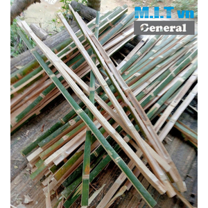 Estacas de Bambú Naturales de 1m para Jardín, Soporte para Plantas, Enredaderas y Árboles - Product Image 6