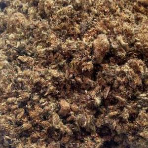 Natural Cottonseed Premium Quality Cleaned Dried <b>Oil</b> Seeds for <b>Animal</b> Feed <b>Oil</b> Production and Bulk Supply - Product Image 3