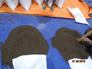 Pimienta Negra de Alta Calidad al Mejor Precio, 500 GL 550 GL 5MM FAQ, Pimienta Negra Seca al por Mayor de Vietnam - Product Image 4