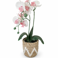 AUDRY S - Maceta Tejida a Mano con Jacinto de Agua y Detalles de Macramé, Cesta para Plantas Natural, Decoración Ecológica para el Hogar, Estilo Boho, para Interiores