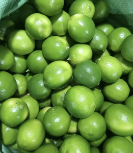 มะนาวสดนำเข้าจากเวียดนาม พร้อมวัตถุดิบส้มเข้มข้นเพื่อการทำอาหารที่มีรสชาติอร่อยและนวัตกรรมเครื่องดื่ม - Product Image 2