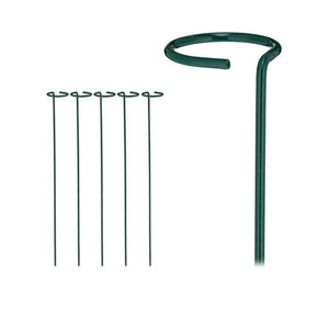 Support pour amaryllis vert - Product Image 4