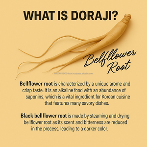 OEM Korea Individually Packed Herbal Tea Stick Antioxidant <b>Balloon</b> Flower Pear Ginger Tea for Adults and Teenagers - Product Image 2