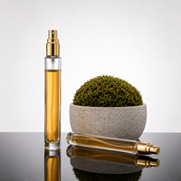 Botol Parfum Mini 10ml Botol Kaca Kosong dengan Pompa Semprot Dapat Diisi Ulang dan Logo Dapat Disesuaikan Dapat Dicetak