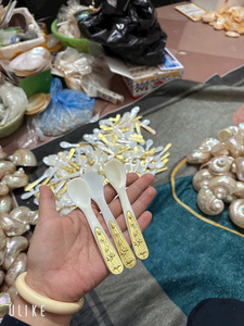Natural Mother Pearl <b>Shell</b> Spoon Fork Gold Plated Short Handle <b>Mirror</b> Polished for Coffee Tea Caviar Kitchen Craft Tool-CARYLN - Product Image 6