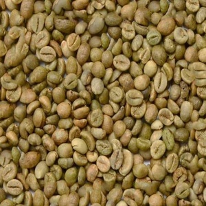 เมล็ดกาแฟเวียดนาม อาราบิก้า S18 ออร์แกนิคพรีเมียม เกรด 1 น้ำหนัก 25 กก. คุณภาพสูง จัดส่งตรงจากโรงงาน - Product Image 1