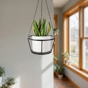 Macetero Colgante de Metal Negro con Cadena de Suspensión y Soporte Redondo para Macetas, Moderno y Minimalista, para Interiores - Product Image 6