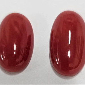 Coral Rojo Natural Italiano Ovalado Plano de Mejor Calidad, Gema Suelta para la Fabricación de Joyas - Product Image 1