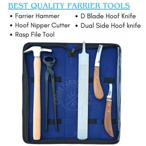 Kit de Herramientas Duraderas para Herradores Profesionales, para Trabajo de Pezuñas, con Martillo para Clavos, Cortaúñas para Pezuñas, Lima de 12 Pulgadas, Cuchillo Curvo de Doble Cara - Product Image 2